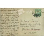 1910 - Romantic couple. Photo sheet, postcard. (2791009)