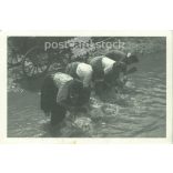 Women wash in the stream. Photo sheet, postcard. (2791059)