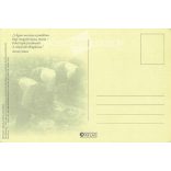 Women wash in the stream. Photo sheet, postcard. (2791059)