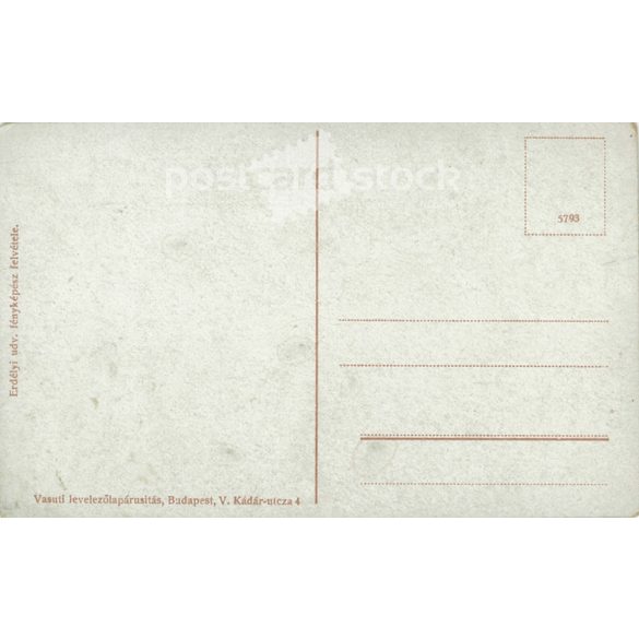 Girls from Toroczko. Photograph of a Transylvanian court photographer.Colored photo sheet, postcard. (2791074)