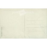 The castle of Vizille. Photo sheet, postcard. (2791079)