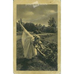   1955 - Szarvas Janina „Nutcracker” Photo sheet, postcard. (2791118)