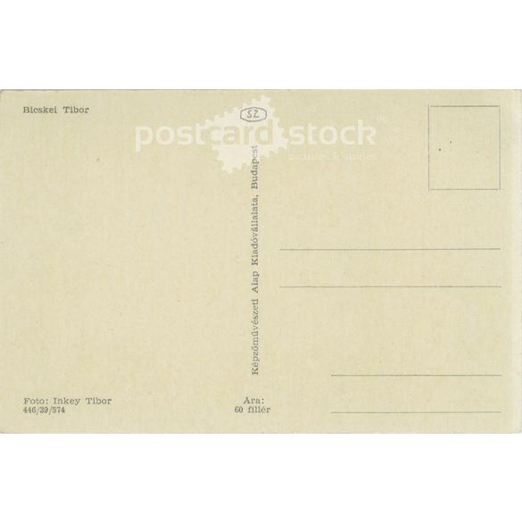 Actor Tibor Bicskei. Photo sheet, postcard. (2791128)