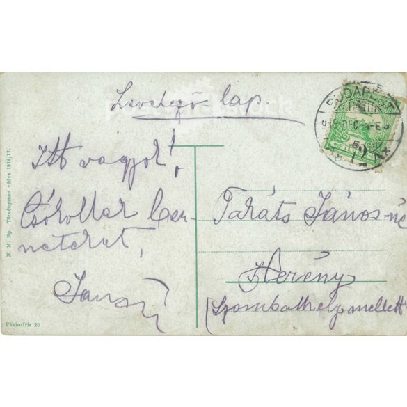 1915 - Budapest. Royal castle with Krisztinaváros. Colored photo sheet, postcard. (2791162)