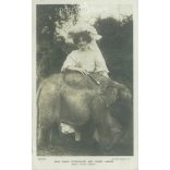 1906 - Miss Marie Studholme actress and Jumbo Junior. Photo sheet, postcard. (2791189)