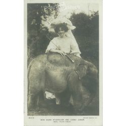   1906 - Miss Marie Studholme actress and Jumbo Junior. Photo sheet, postcard. (2791189)