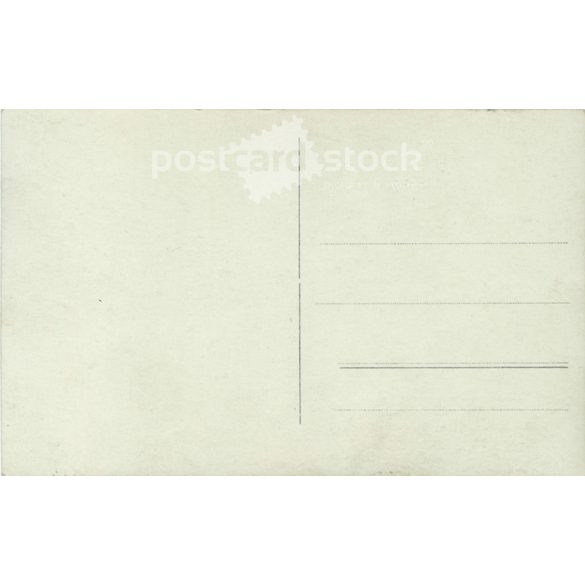 Actress. Photo sheet, postcard.  (2791198)