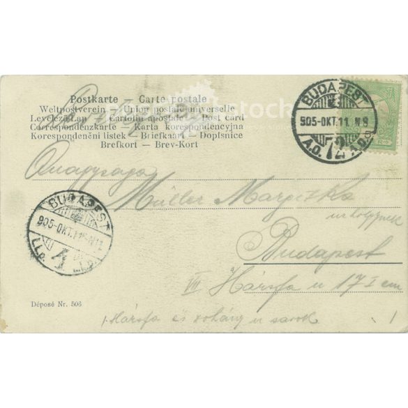 1905 - Romantic postcard, photo sheet. (2791199)