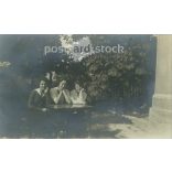 Three sisters. Photo sheet, postcard. (2791212)