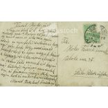 1911 - Young official. Photo sheet, postcard. (2791214)