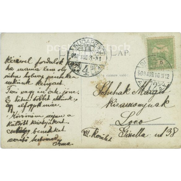 1906 - Family group photo. Photo sheet, postcard. (2791227)