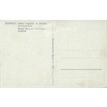 1917 - Budapest. Royal Palace. Colored photo sheet, postcard. (2791234)