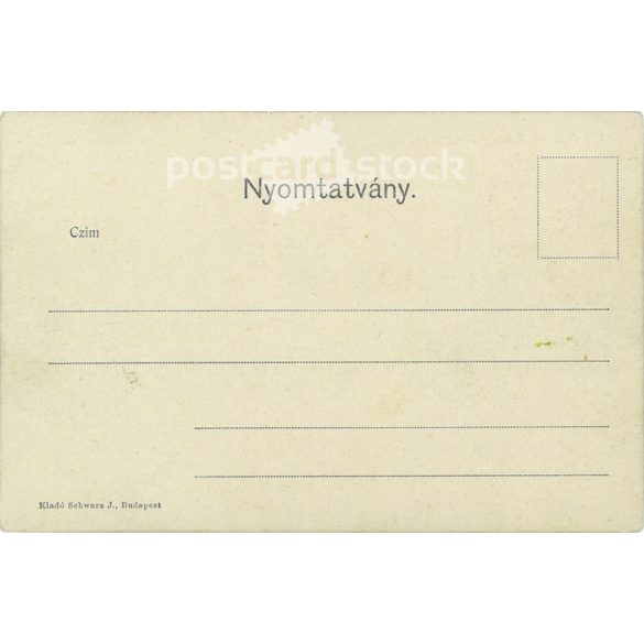 1905 - Budapest. Royal Palace. Photo sheet, postcard. (2791241)