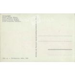 1925 - Budapest. Ferencz József Bridge. Today: Szabadság híd (Bridge of Freedom) Photo sheet, postcard. (2791247)