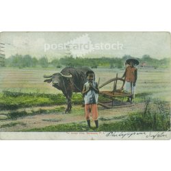   1910 - Manila. Philippines. Colored photo sheet, postcard. (2791254)