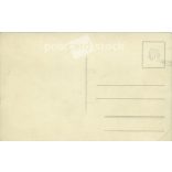 Bathers, group photo. Photo sheet, postcard. (2791269)