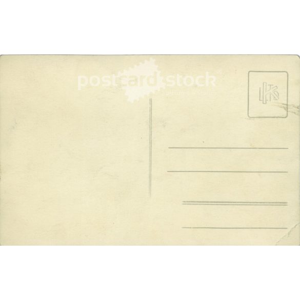 Bathers, group photo. Photo sheet, postcard. (2791269)