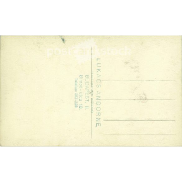 Brothers. Photo sheet, postcard. (2791272)