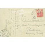 1917 - Budapest. Petofi Square. Colored photo sheet, postcard. (2791286)