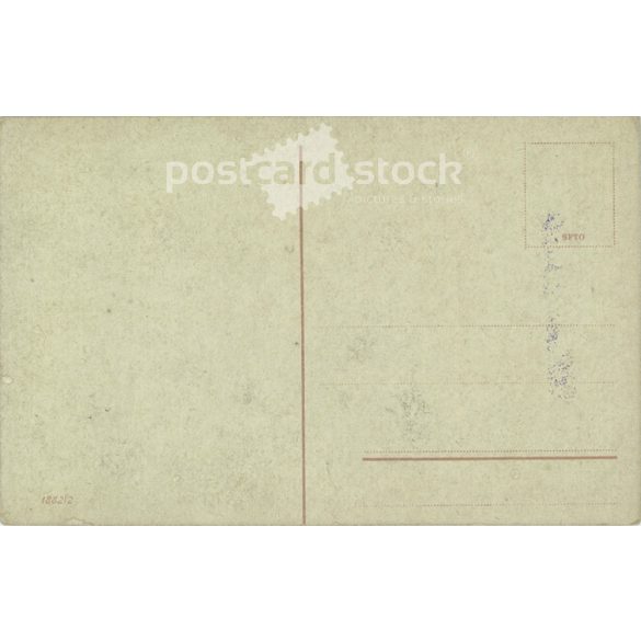 Romantic postcard. Colored photo sheet. (2791290)