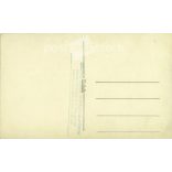 Young woman, studio shot. Kispest. Artistic photography of the photograper Csathó. Photo sheet, postcard. (2791298)