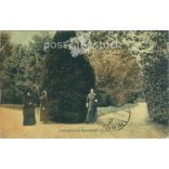 1913 - Detail of Barosliget in Zalaegerszeg. Colored photo sheet, postcard. (2791304)