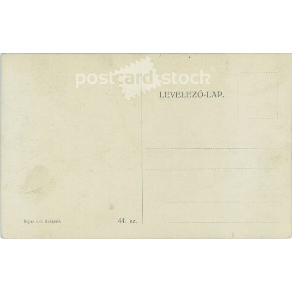 Budapest. Petőfi statue. Photo sheet, postcard. (2791312)