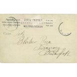 1900 - Portrait of young woman. From the photo studio of David and his son. Photo sheet, postcard. (2791318)