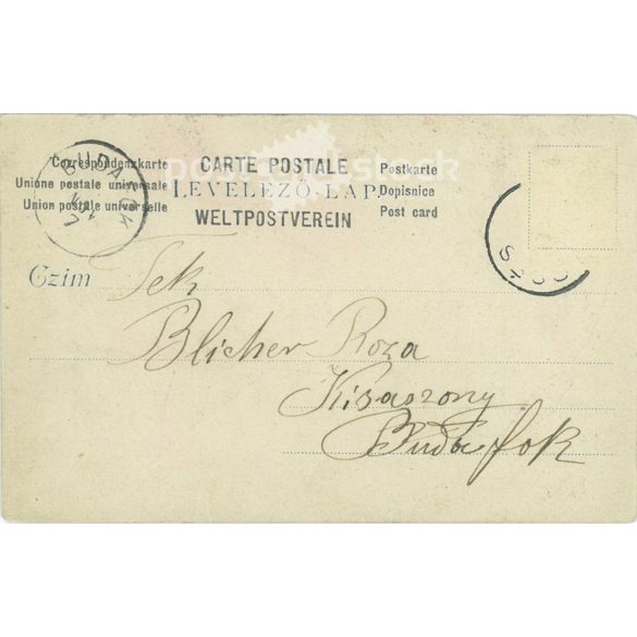 1900 - Portrait of young woman. From the photo studio of David and his son. Photo sheet, postcard. (2791318)