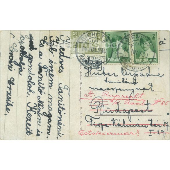 XII. Pope Pius. Colored photo sheet, postcard. (2791344)