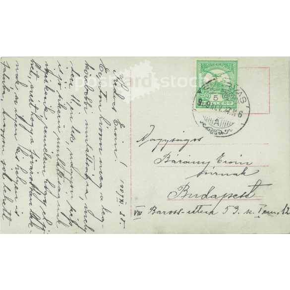 1909 - Women with special hairstyle. Colored photo sheet, poszcard. (2791350)