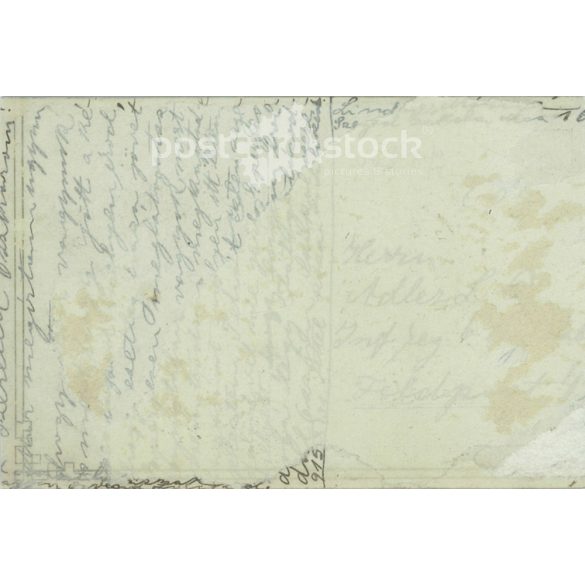 1915 - Family photo. Photo sheet, postcard. (2791351)