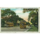 1921 - Chicago. Lincoln Park. Colored photo sheet, postcard. (2791353)