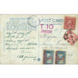 1921 - Chicago. Lincoln Park. Colored photo sheet, postcard. (2791353)