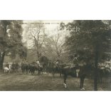 1906 - Rotten Row - The Morning Ride London, England. Photo sheet, postcard. (2791389)