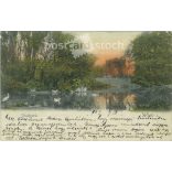 1902 - City Park. Vienna. Colored photo sheet, postcard. (2791425)