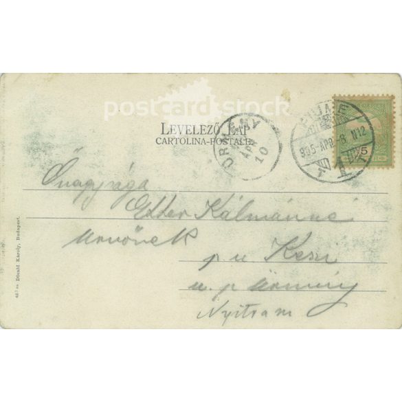 1905 - Rijeka. Photo sheet, postcard. (2791427)