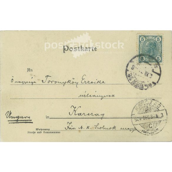 1904 - St Stephen’s Cathedral, Vienna. Photo sheet, postcard. (2791456)