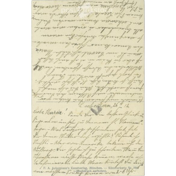 1912 - Jos Wopfner Mary’s salvation! Photo sheet, postcard. (2791463)