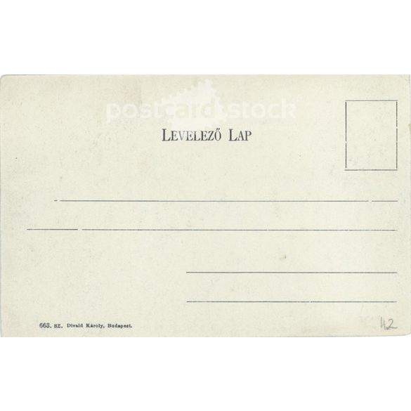 1904 - Chain Bridge. Budapest. Photo sheet, postcard. (2791469)