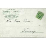 1905 - Romantic postcard. Embossed, colored graphics with gold embossing. (2791471)