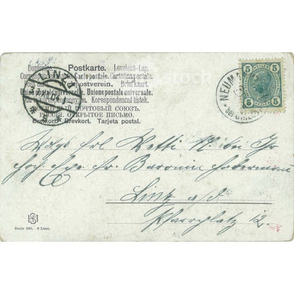 1904 - Merry New Year’s greetings. Colored photo sheet, greeting card. (2791481)