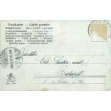 1905 - Elegant man. ESD postcard. Colored photo sheet. (2791493)