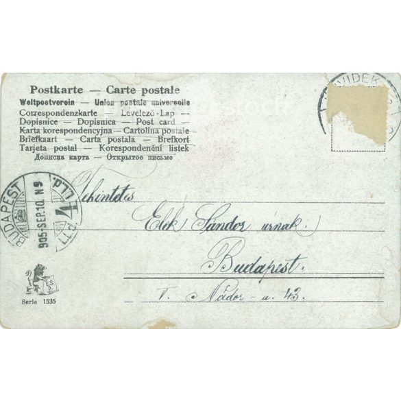 1905 - Elegant man. ESD postcard. Colored photo sheet. (2791493)