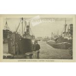 1929 - Docks in the port of Antwerp. Photo sheet, postcard. (2791501)