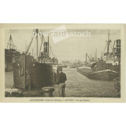   1929 - Docks in the port of Antwerp. Photo sheet, postcard. (2791501)
