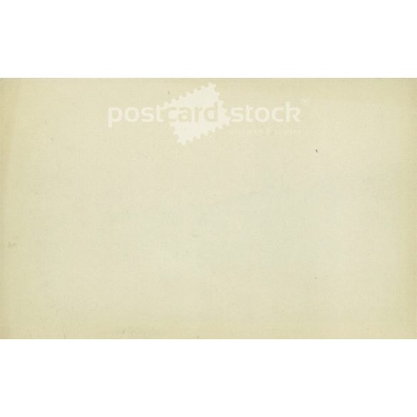 1929 - Docks in the port of Antwerp. Photo sheet, postcard. (2791501)