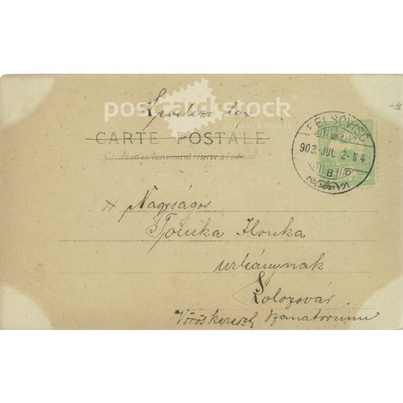 1931 - Happy New Year! Colored photo sheet, postcard. (2791528)