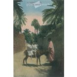 Oasis of Biskra. Colored photo sheet, postcard. (2791535)
