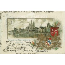   1909 - Greetings from Regensburg. Unique litography and embossed, gilded crest. Colored photo sheet. (2791550)